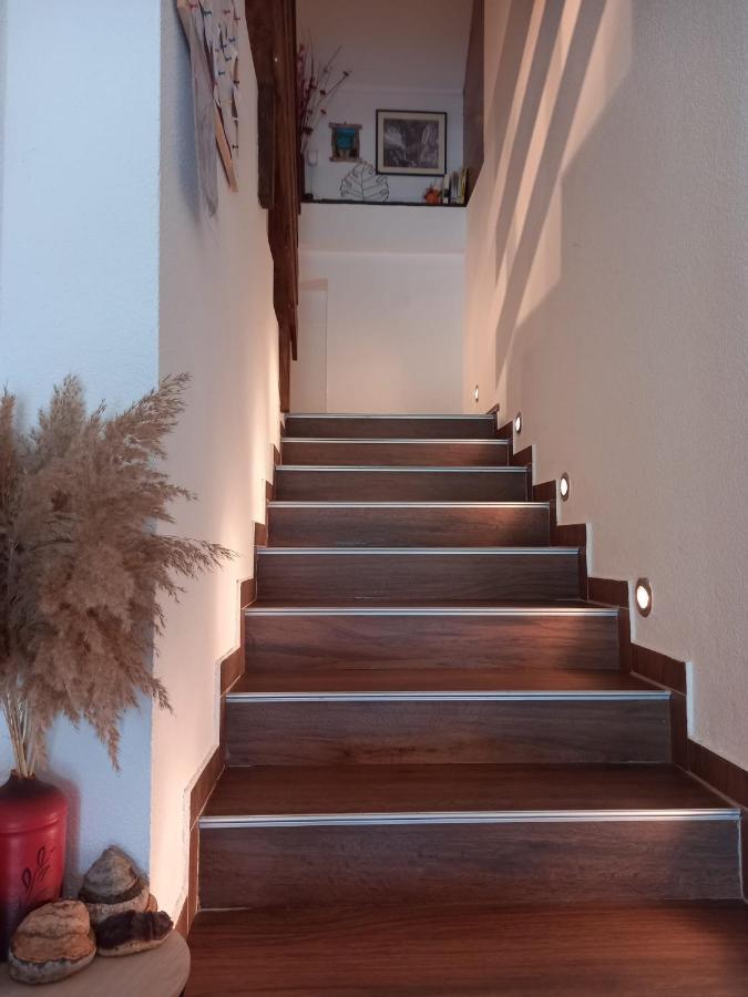 Guest House Lisina Poljanak Luaran gambar